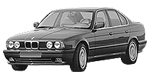 BMW E34 C207C Fault Code